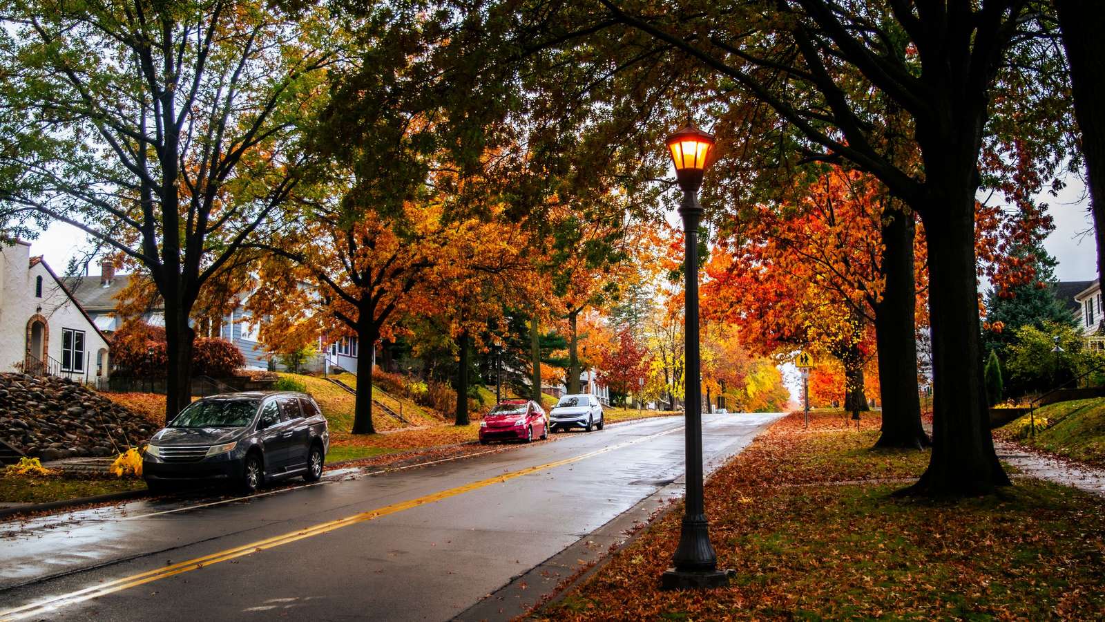 A residential street in autumn with orange trees, parked cars and a lamp post